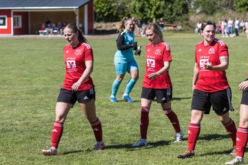 Bild 335 - F SG NieBar - IF Stjernen Flensborg : Ergebnis: 2:0
